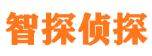 鼎城侦探公司